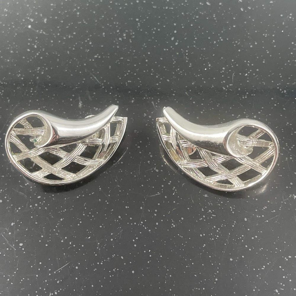 Elegant Silver Tone Earrings